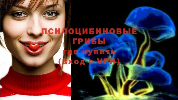 стаф Абдулино