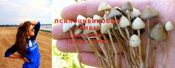 Альфа ПВП Магадан